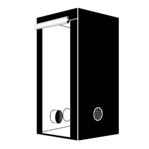 Гроубокс Homebox Ambient Q60